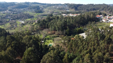 Terreno para Venda em Telões