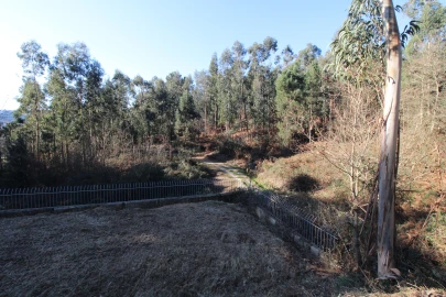 Terreno para Venda em Telões