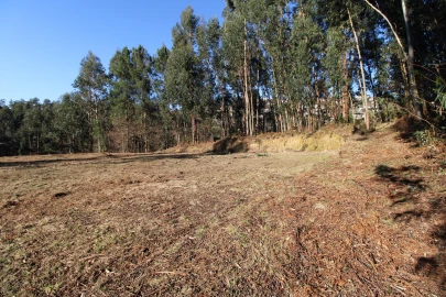 Terreno para Venda em Telões