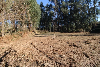 Terreno para Venda em Telões