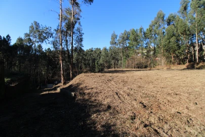 Terreno para Venda em Telões