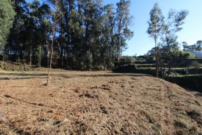 Terreno para Venda em Telões