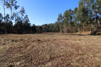 Terreno para Venda em Telões