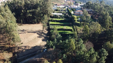 Terreno para Venda em Telões