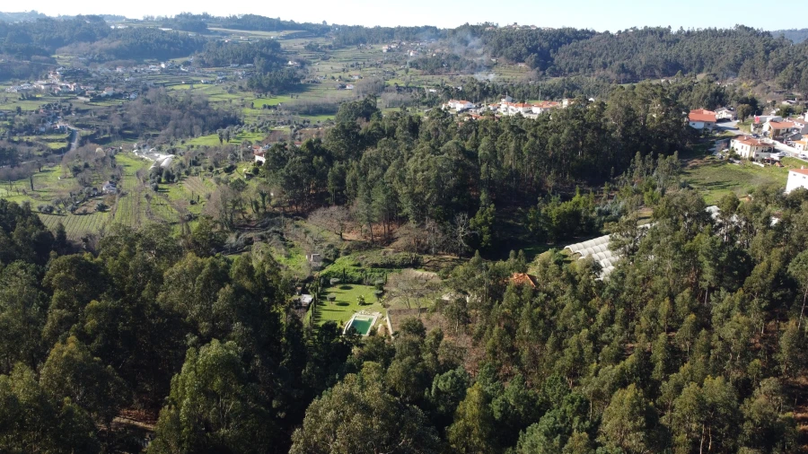 Terreno para Venda em Telões Foto 6