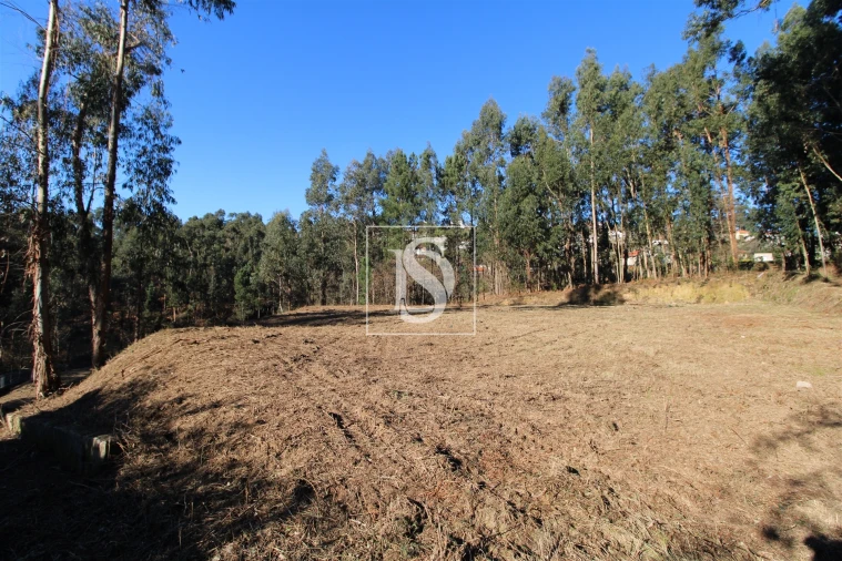 Terreno para Venda em Telões Foto 8