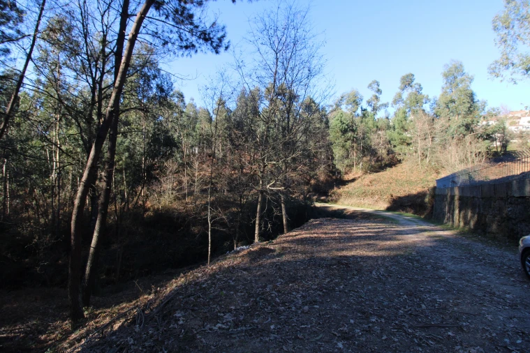 Terreno para Venda em Telões Foto 18
