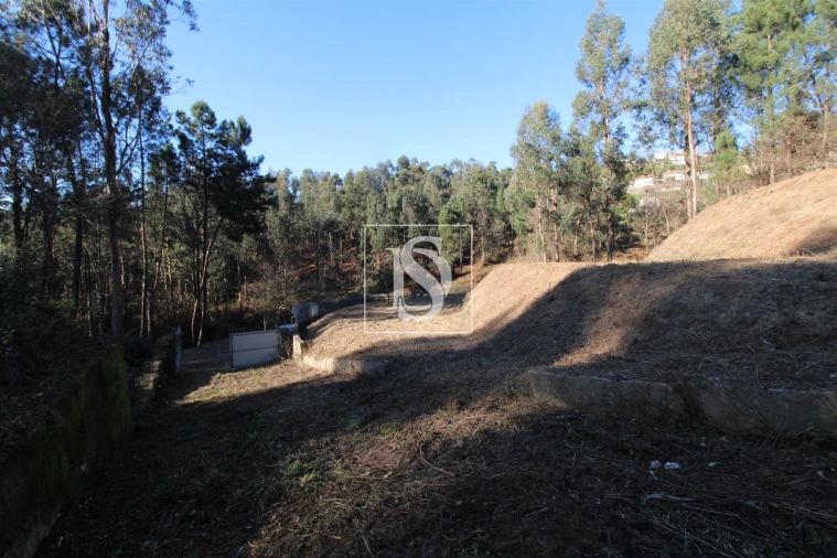 Terreno para Venda em Telões Foto 13