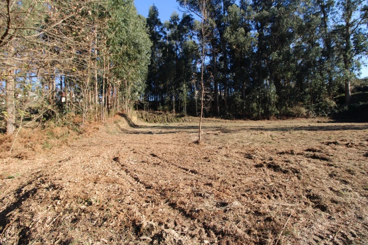 Terreno para Venda em Telões Foto 9