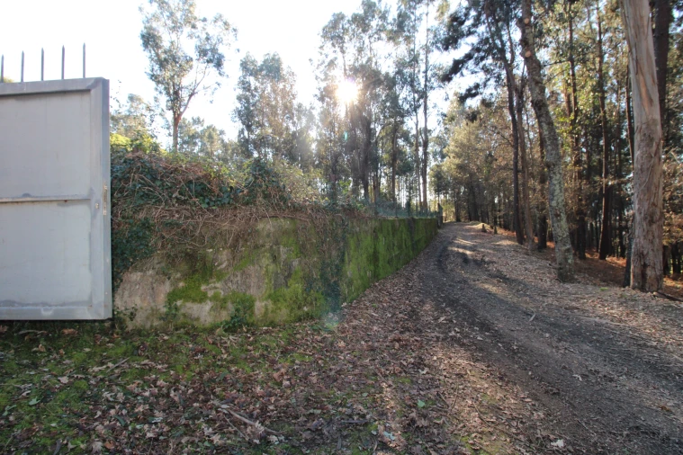 Terreno para Venda em Telões Foto 16