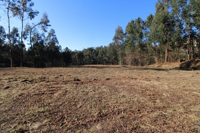 Terreno para Venda em Telões Foto 15