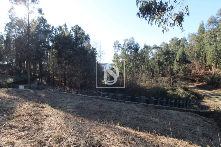 Terreno para Venda em Telões Foto 2