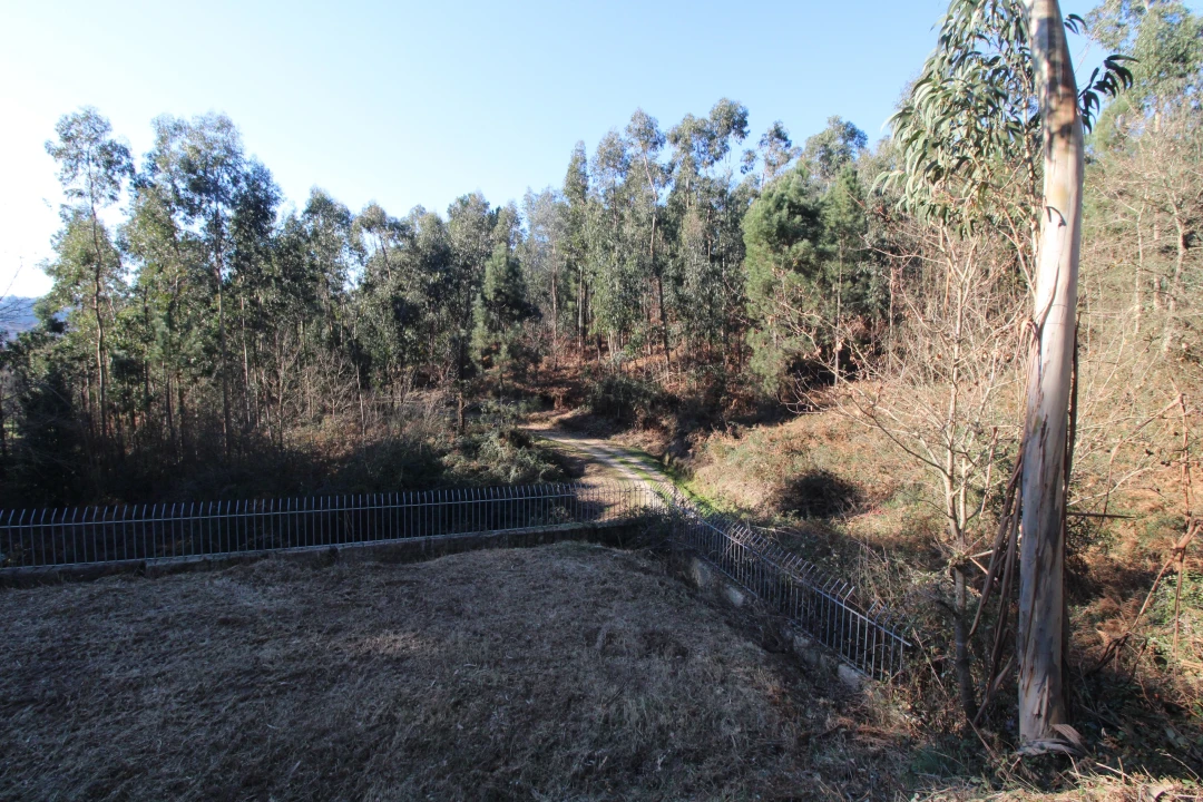 Terreno para Venda em Telões Foto 14