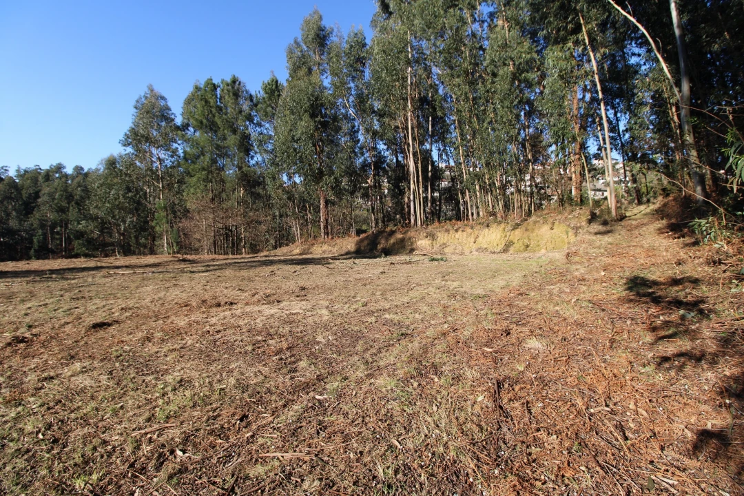 Terreno para Venda em Telões Foto 10