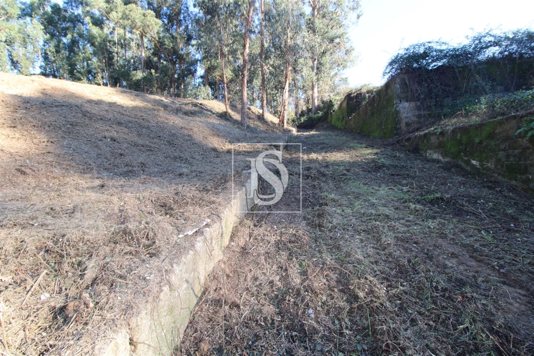 Terreno para Venda em Telões Foto 14