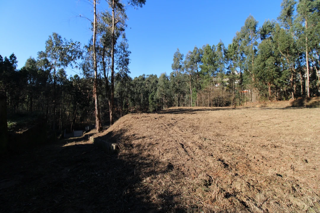 Terreno para Venda em Telões Foto 12
