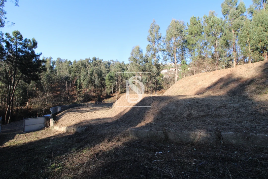 Terreno para Venda em Telões Foto 11
