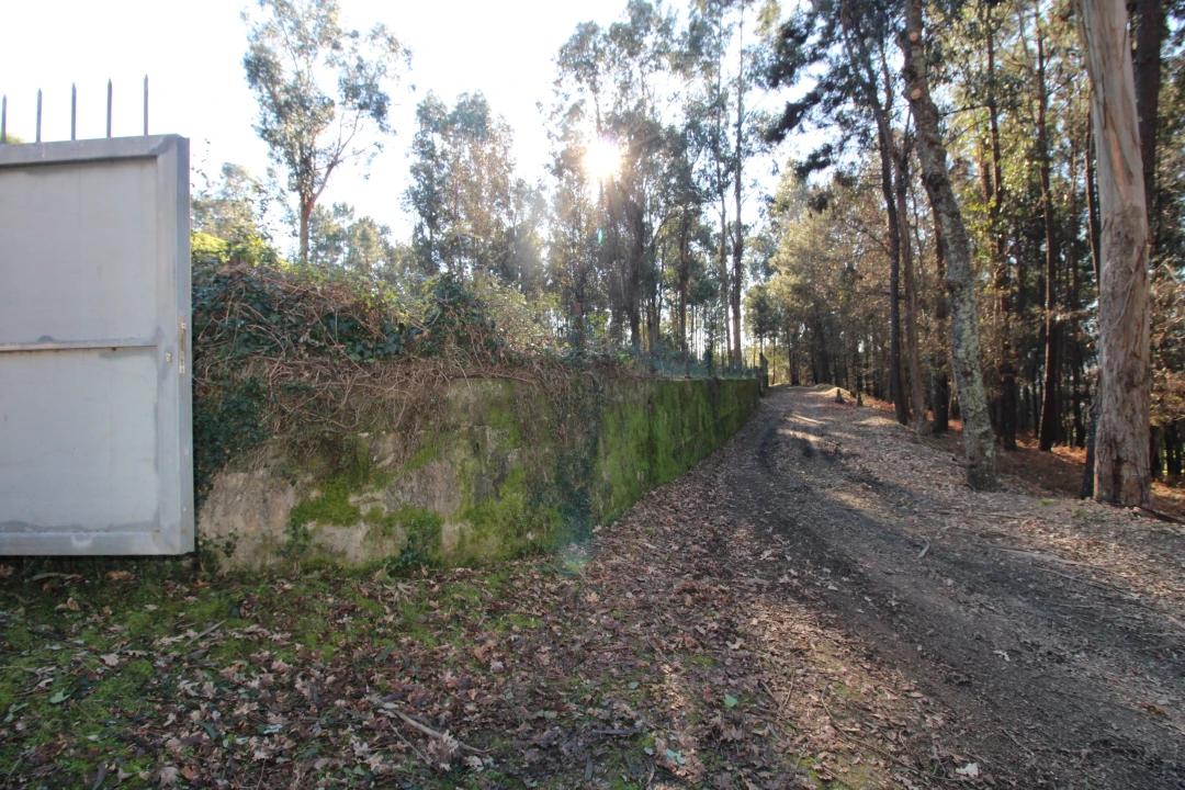 Terreno para Venda em Telões Foto 16