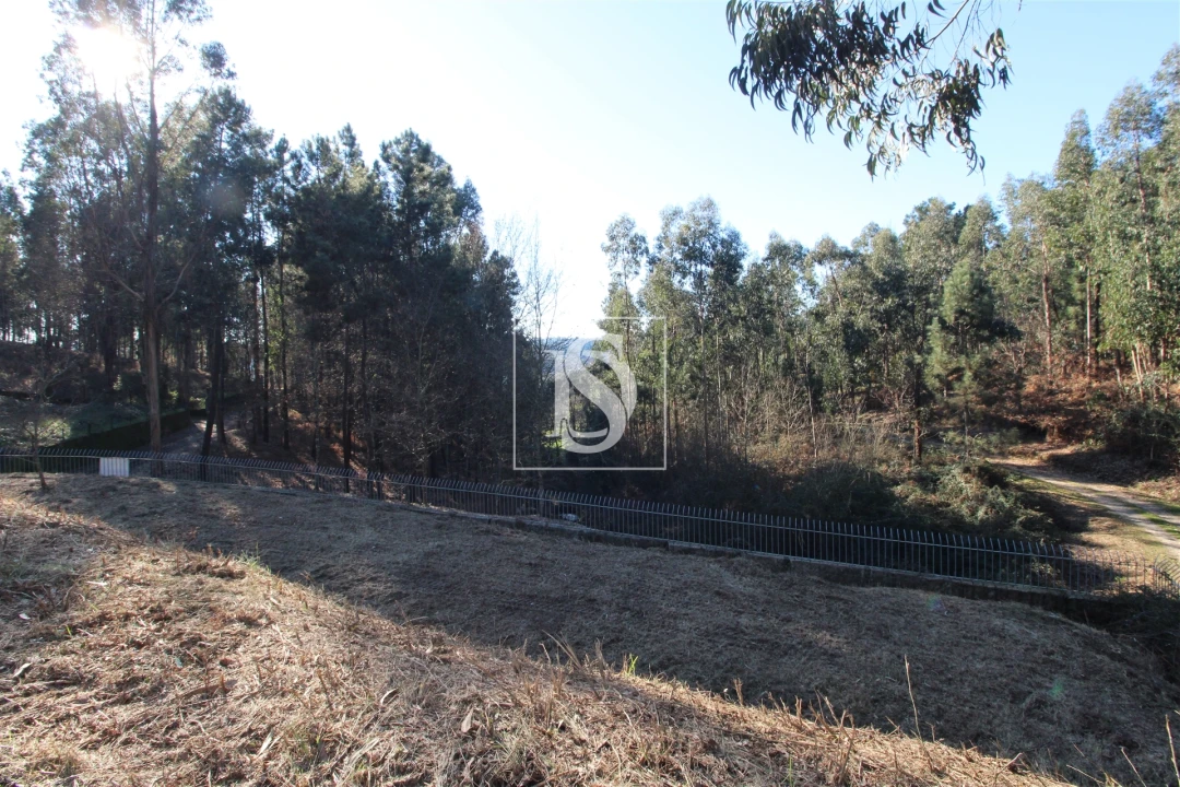 Terreno para Venda em Telões Foto 2