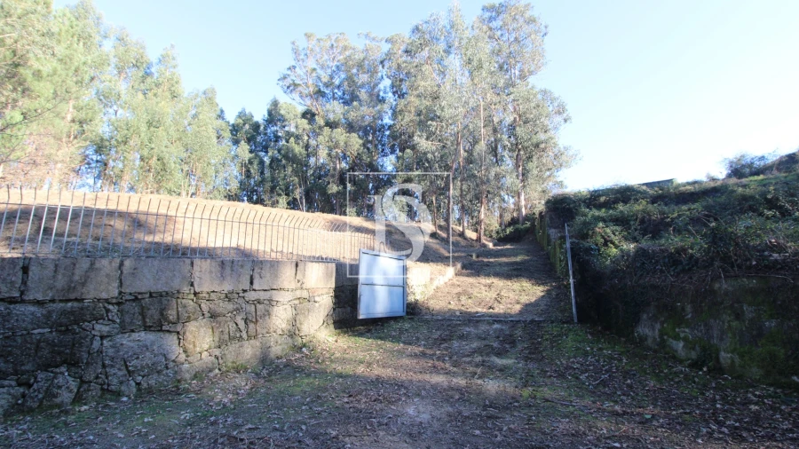 Terreno Agricola ou Rústico para Venda em Telões