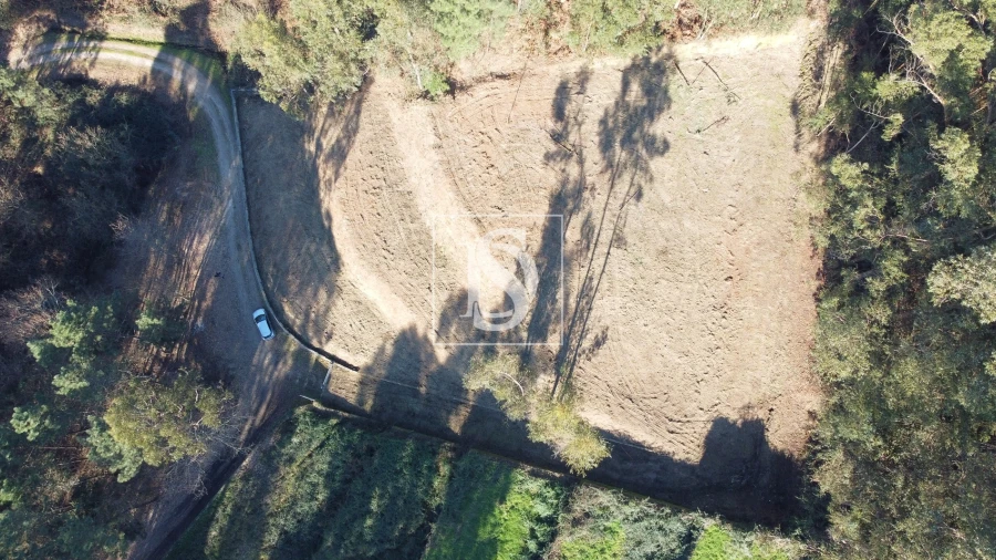 Terreno Agricola ou Rústico para Venda em Telões