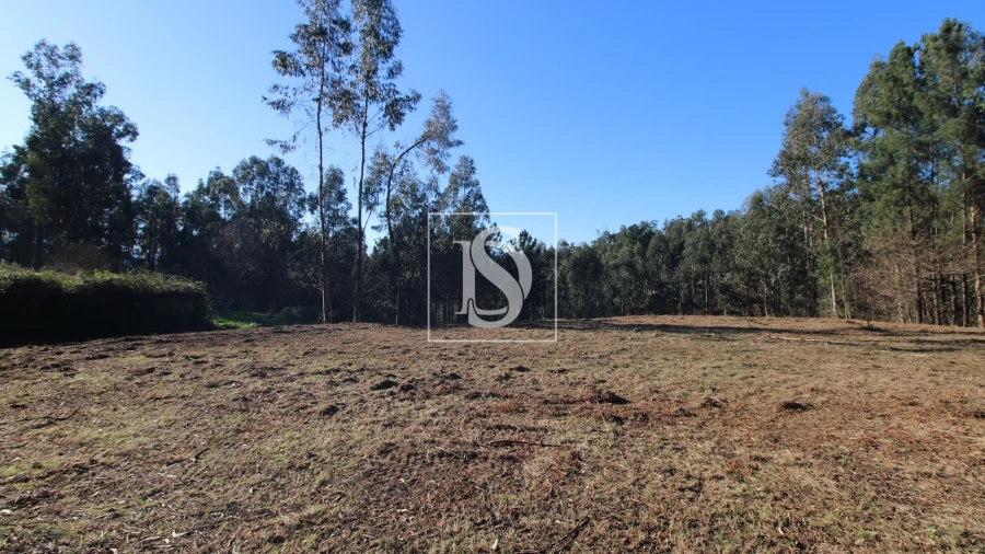 Terreno Agricola ou Rústico para Venda em Telões