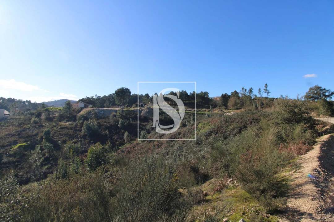 Terreno para Venda em Fregim Foto 8