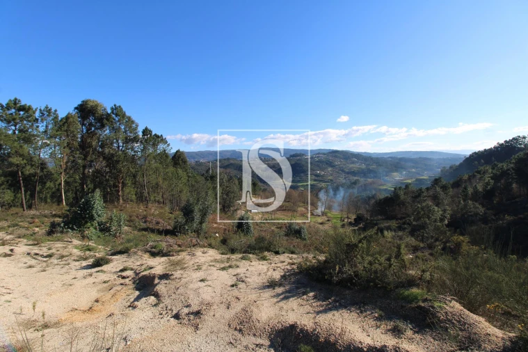 Terreno para Venda em Fregim Foto 7