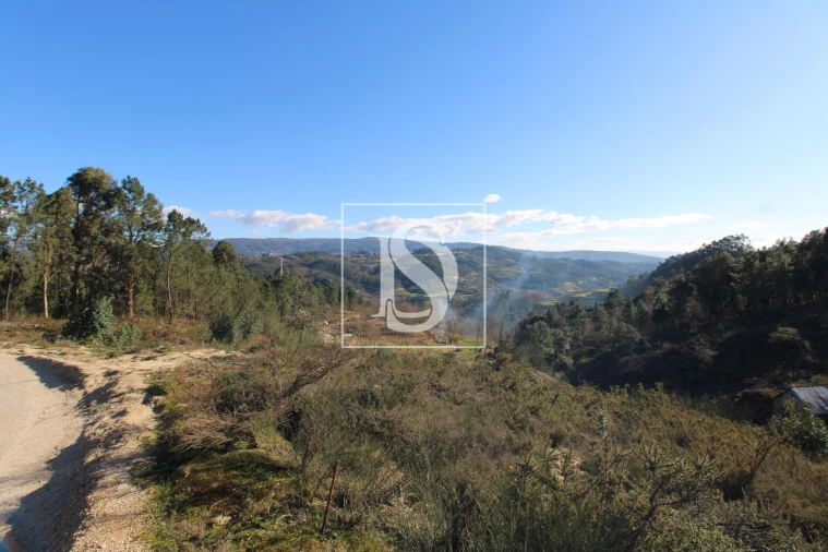 Terreno para Venda em Fregim Foto 6