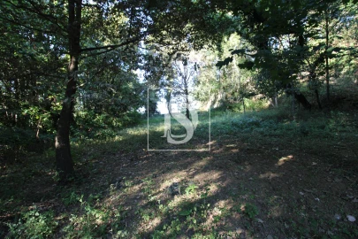 Terreno para Venda em Rebordelo