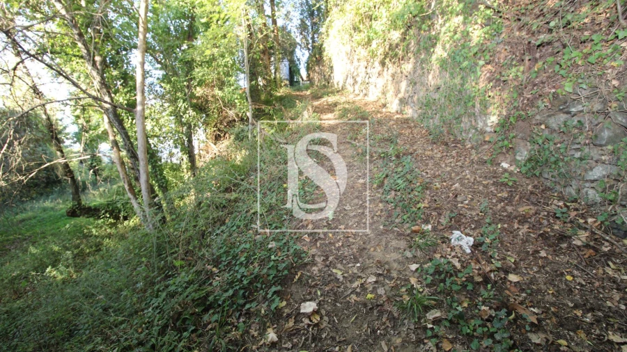 Terreno Agricola ou Rústico para Venda em Rebordelo