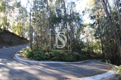 Terreno para Venda em Rebordelo