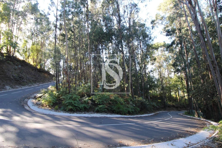 Terreno para Venda em Rebordelo Foto 2