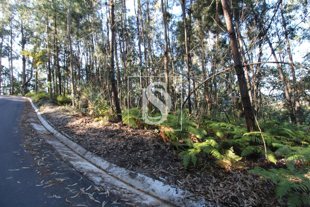 Terreno para Venda em Rebordelo Foto 4