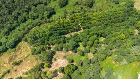 Quinta T3 para Venda em Bustelo, Carneiro e Carvalho de Rei