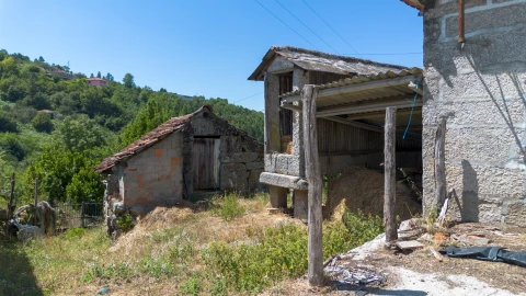 Quinta T3 para Venda em Bustelo, Carneiro e Carvalho de Rei
