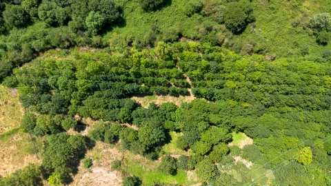 Quinta T3 para Venda em Bustelo, Carneiro e Carvalho de Rei