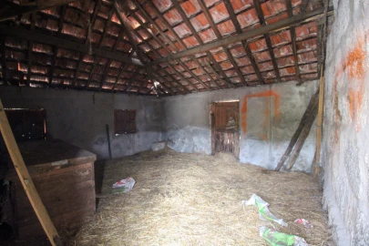 Quinta T3 para Venda em Bustelo, Carneiro e Carvalho de Rei