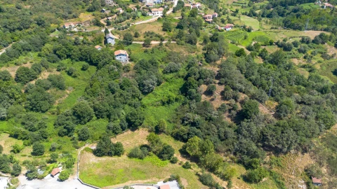 Quinta T3 para Venda em Bustelo, Carneiro e Carvalho de Rei