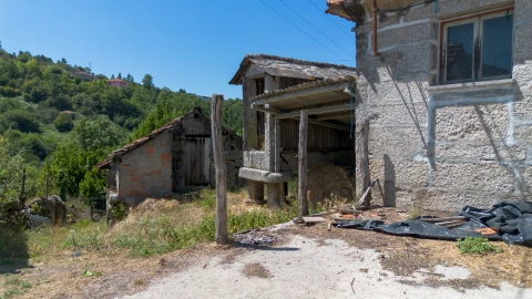 Quinta T3 para Venda em Bustelo, Carneiro e Carvalho de Rei