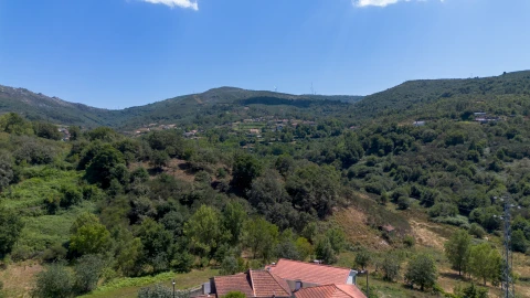 Quinta T3 para Venda em Bustelo, Carneiro e Carvalho de Rei