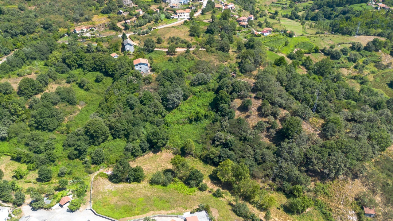 Quinta T3 para Venda em Bustelo, Carneiro e Carvalho de Rei Foto 19