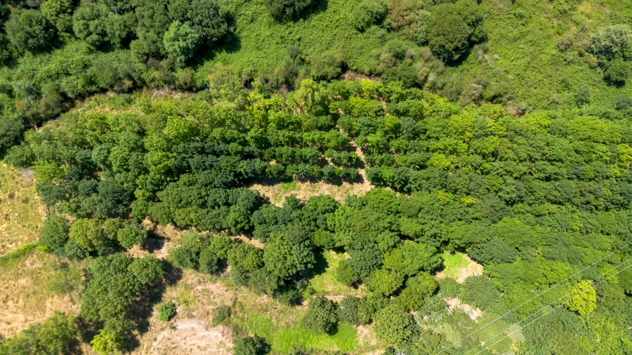 Quinta T3 para Venda em Bustelo, Carneiro e Carvalho de Rei Foto 12