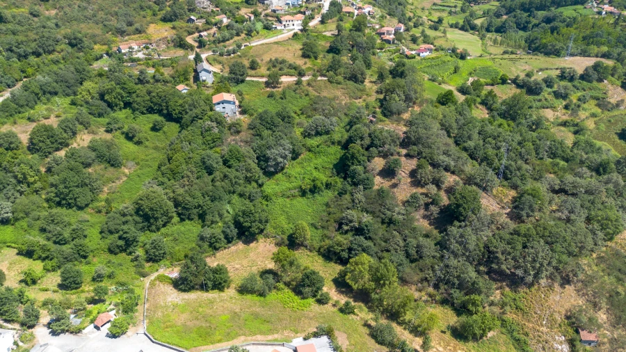 Quinta T3 para Venda em Bustelo, Carneiro e Carvalho de Rei Foto 19