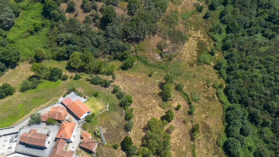 Quinta T3 para Venda em Bustelo, Carneiro e Carvalho de Rei Foto 14