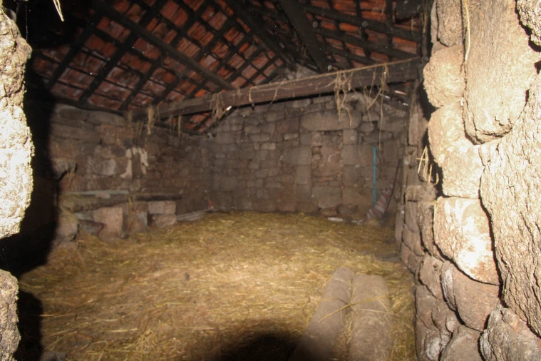 Quinta T3 para Venda em Bustelo, Carneiro e Carvalho de Rei Foto 3