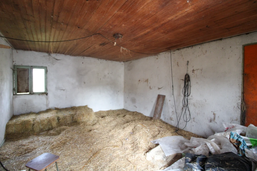 Quinta T3 para Venda em Bustelo, Carneiro e Carvalho de Rei Foto 2