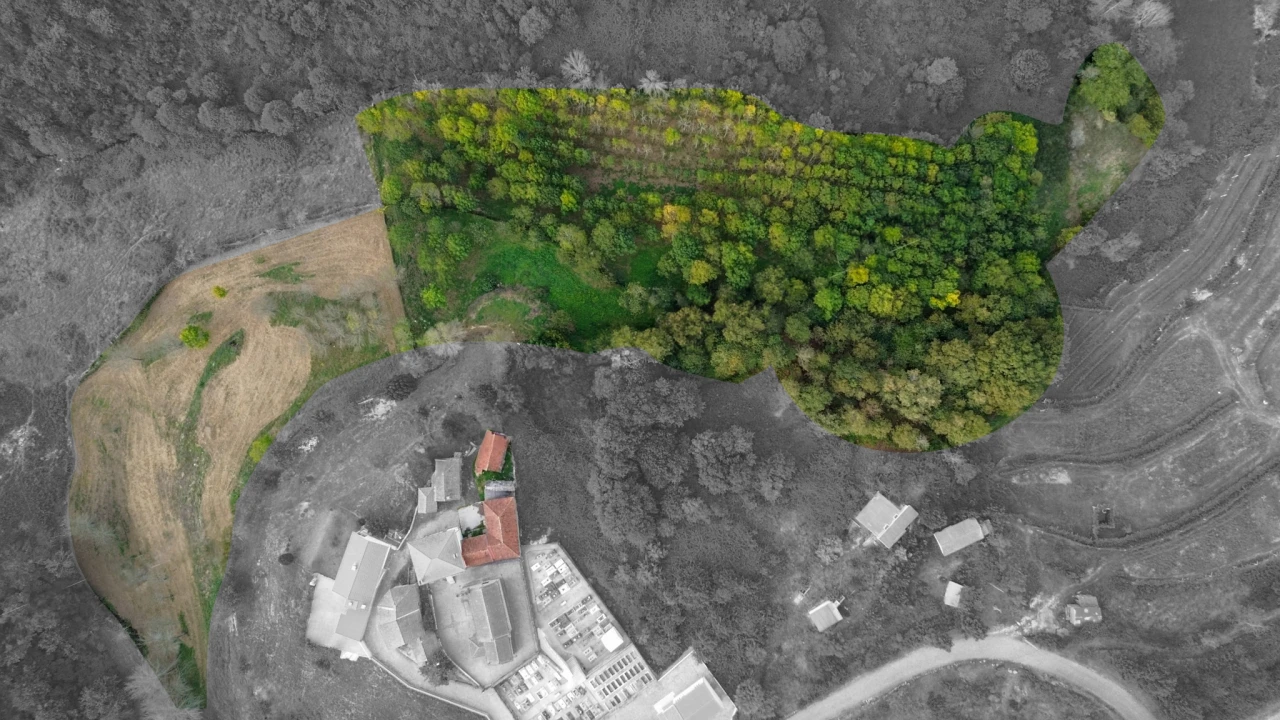 Quinta T3 para Venda em Bustelo, Carneiro e Carvalho de Rei Foto 25