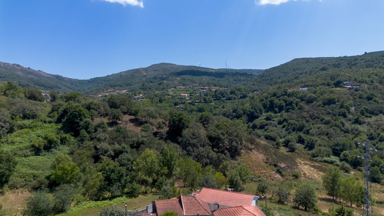 Quinta T3 para Venda em Bustelo, Carneiro e Carvalho de Rei Foto 18