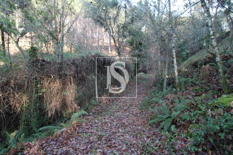 Terreno para Venda em Rebordelo Foto 4